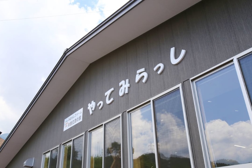とうもろこし 伊那市産 スイートコーン 約5kg 2Lサイズ 12本入り ゴールドラッシュ 【013-53】