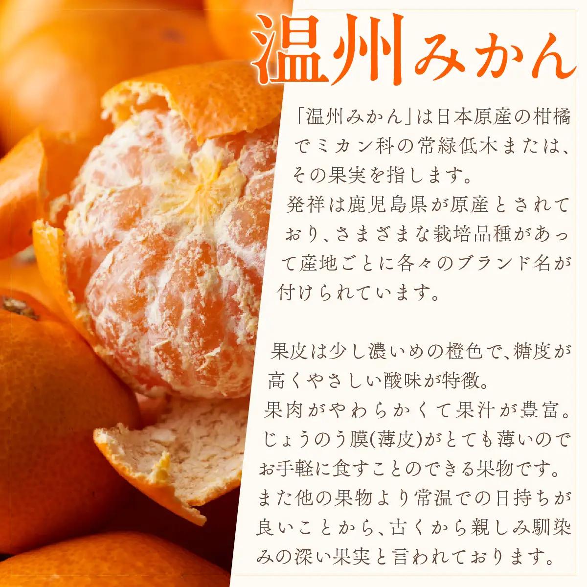 【先行受付】小林果園の愛媛みかん(約5kg)【訳あり】【C24-15】【1124421】 YWTAD008