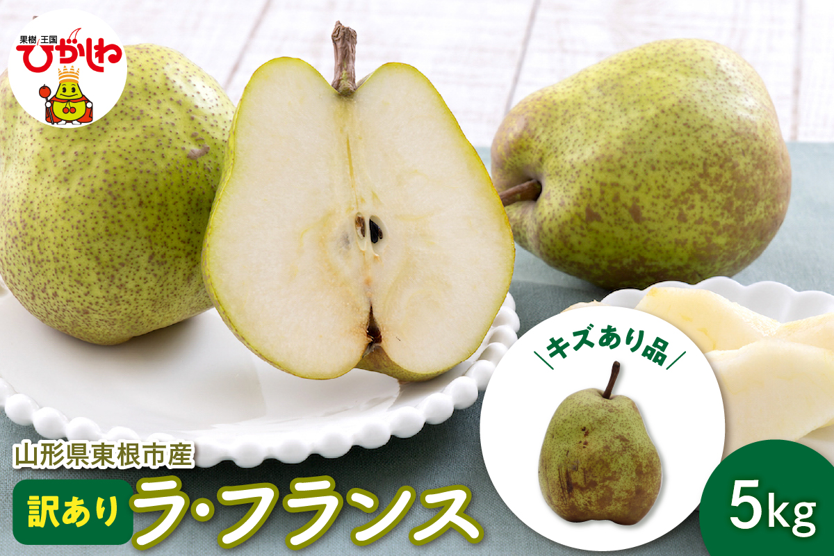 【令和8年産 先行予約】ラ・フランス 家庭用（訳あり）5kg 山形県 東根市 hi069-020