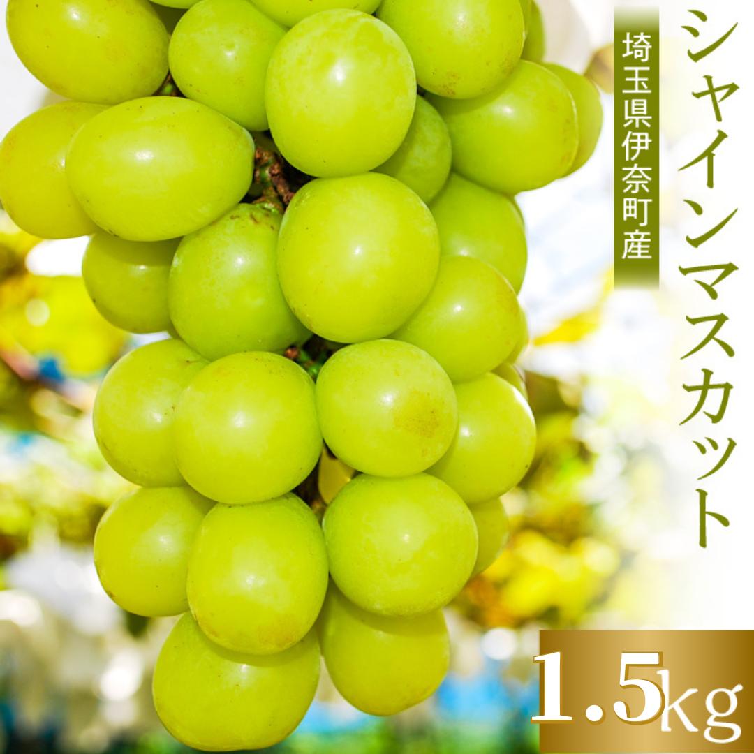 
【先行予約 2024年産】埼玉県伊奈町産シャインマスカット1.5kg ／山岸農園 ブドウ ぶどう 葡萄 果物 フルーツ 数量限定
