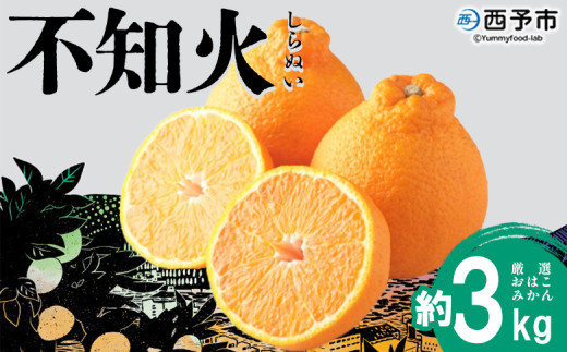 ＜おはこやがつくる おはこデコ（不知火）約3kg（L～3Lサイズ）＞ 果物 フルーツ 柑橘 しらぬい みかん 特産品 西宇和 愛媛県 西予市【常温】