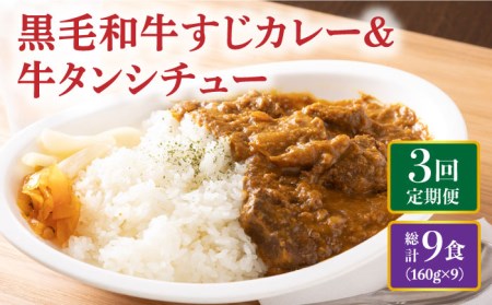 【全3回定期便】 黒毛和牛 牛すじカレー ＆ 牛タンシチュー 毎月3食 長与町/炭火焼肉あおい  [EBW007]  黒毛和牛 カレー かれー レトルト 牛タン 牛たん シチュー しちゅー 簡単 常温 定期便 定期 ていきびん