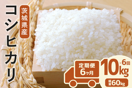 定期便 常陸牛農家が育てるコシヒカリ 10kg×6回 令和7年度産 米 お米 白米 こめ 精米 取り寄せ 特産 ごはん ご飯 コメ お取り寄せ ギフト 贈り物 お弁当 弁当 おにぎり ふっくら ツヤツヤ 甘い 農家直送 産地直送 国産 茨城県産 A31-007