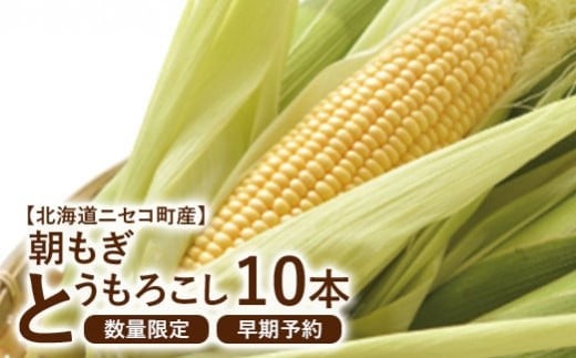 
            【北海道ニセコ町産】朝もぎ とうもろこし 10本 ＜数量限定・2026年早期予約・7月中旬より出荷予定＞【0202303】
          