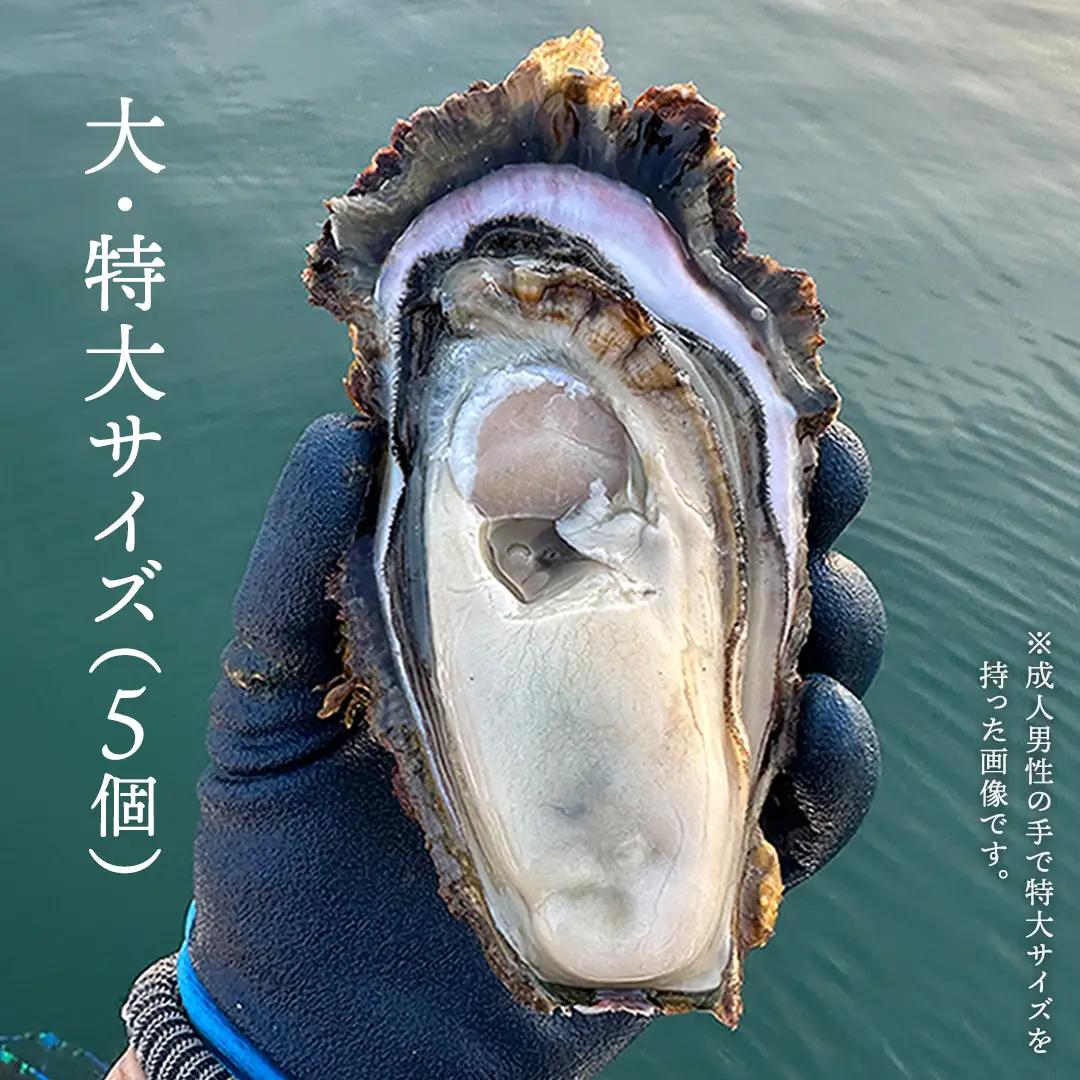 天然・生食可 大・特大サイズ 岩牡蠣 5個 瀬戸内産  《ナイフ・軍手付き》 産地直送