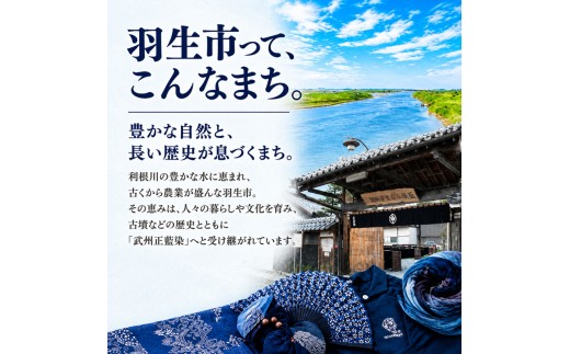 椅子 スツール インテリア 家具 いす ホワイトオーク 手作り オーダーメイド チェア クラフト ハンドメイド ウッド アイアン 木製家具 鉄製家具 新生活 リビング  キッチン Walt Desig