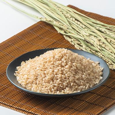 ふるさと納税 阿賀町 小会瀬のお米「はざがけコシヒカリ」玄米　5kg |  | 01