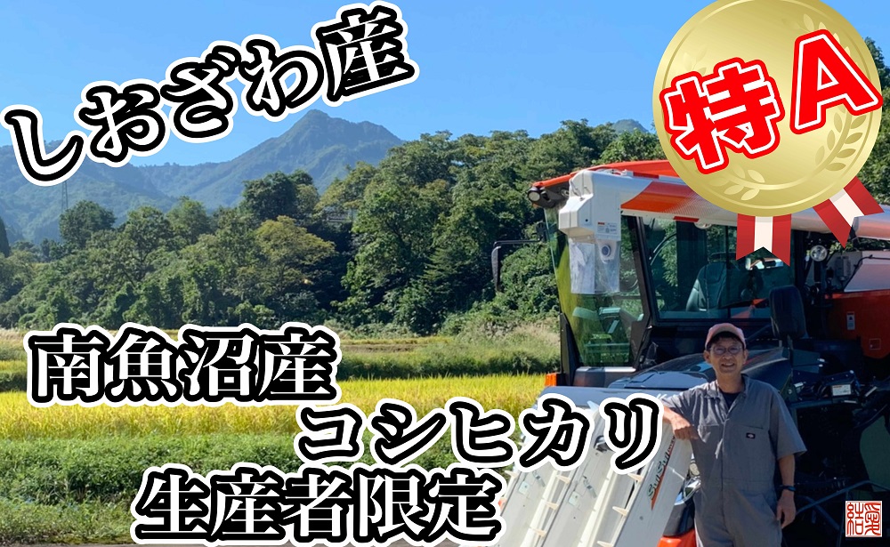 【令和7年産】【定期便／４kg×9ヶ月】生産者限定 契約栽培 南魚沼しおざわ産コシヒカリ【2025年10月上旬より順次発送予定】