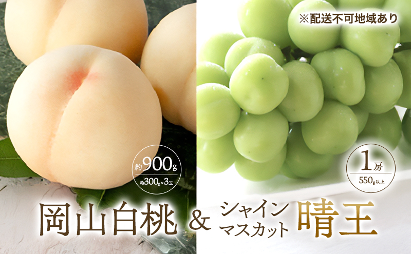 桃 ぶどう 2027年 先行予約 清水 白桃 3玉合計 約900g （1玉約300g） シャインマスカット 晴王 1房 550g以上もも 葡萄 詰合せ 岡山 国産 フルーツ 果物 ギフト 桃茂実苑