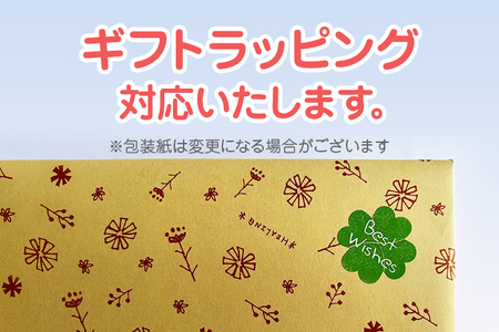 【ギフト用】木のおもちゃ、出産祝いセットＳ３