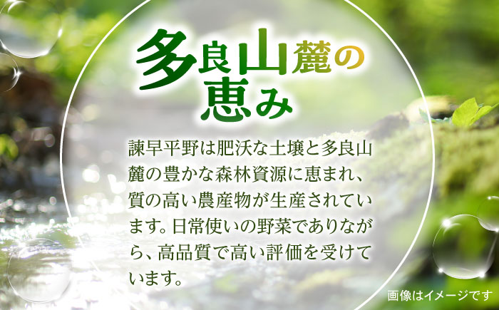 【6回定期便】諫早産野菜の詰め合わせ(8〜9品目程度) / 季節 旬 野菜 春野菜 夏野菜 秋野菜  / 諫早市 / 肥前グローカル株式会社 [AHDI002]