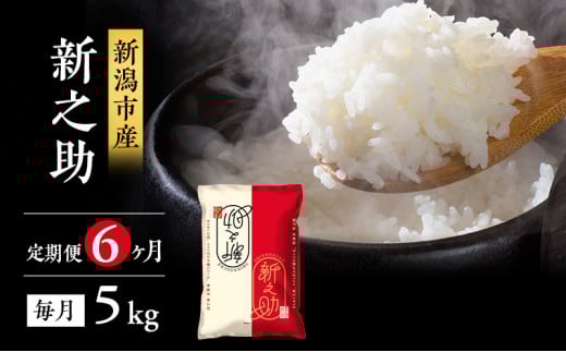 米 6ヶ月定期便 新潟 新之助 5kg 白米 精米 １等米 精米仕立てを発送致します 新潟県産 定期便 お米 5kg こめ コメ ブランド米 6ヶ月 半年 6回 お楽しみ