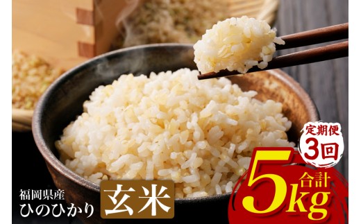 【3回定期便】ひのひかり 米 お米  玄米  5kg  5キロ 福岡県産 うきは市 国産 精米 ご飯 ごはん おにぎり お弁当 人気 おすすめ 家庭用 送料無料 新米 ストック 厳選 農家直送 大容量【JA福岡くるめ にじの耳納の里】