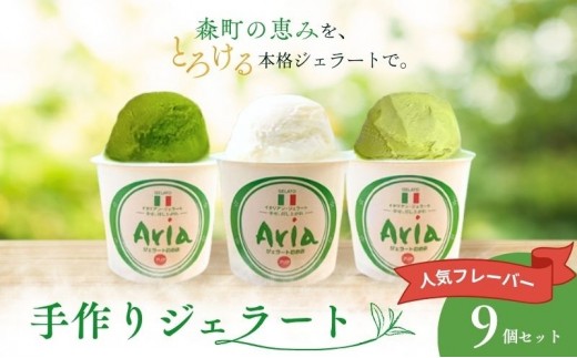 
                  手作りジェラート 人気フレーバー9個セット（3種類×3個）アイス ジェラート 米 抹茶 煎茶 デザート スイーツ 食べ比べ セット 詰合せ 森町 静岡県
                