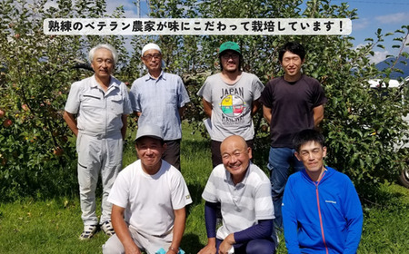 KR25-25A りんご 秋映 約3kg（5～10玉） 贈答 / 2025年10月上旬頃～配送予定 // 南信州 長野県 松川町産 ギフト りんご リンゴ 林檎 秋映 3kg 農家直送 農家支援 贈答