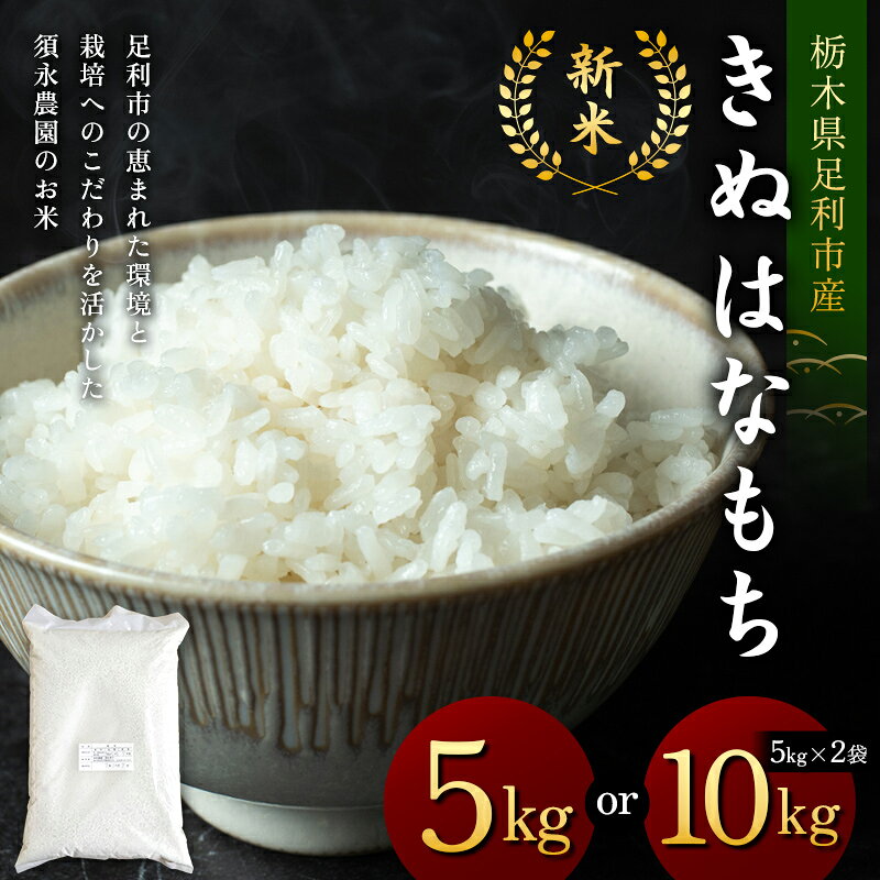 【ふるさと納税】＼選べる容量／令和7年産 もち米 栃木県足利市産 きぬはなもち 5kg 10kg〈5kg×2袋〉 精米 白米 米 こめ ごはん 食品 栃木県 足利市 F7Z-1821var