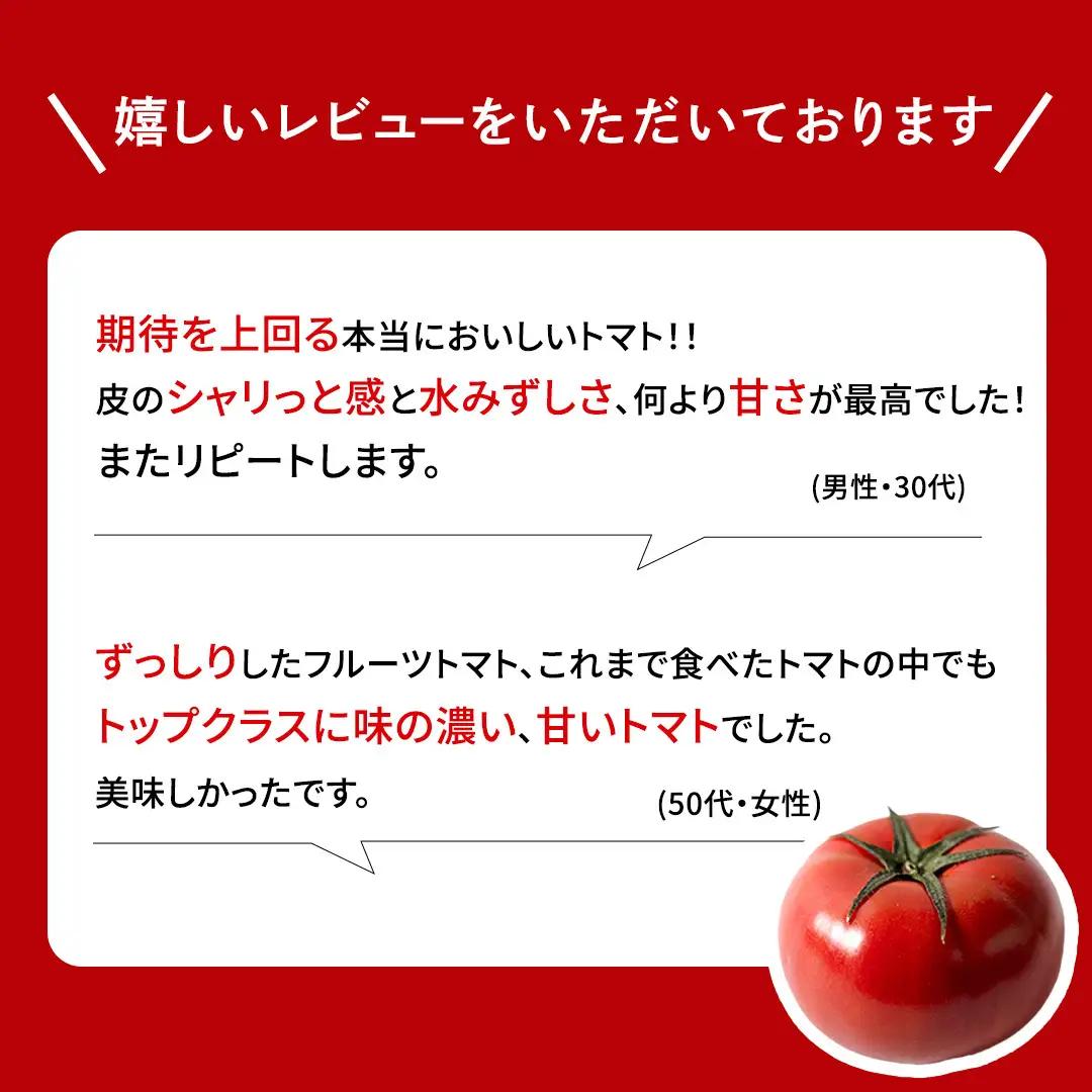 【母の日専用】 スーパーフルーツトマト 中箱 約1.2kg ×1箱 糖度9度以上 《5月3日～9日お届け メッセージカード付》
