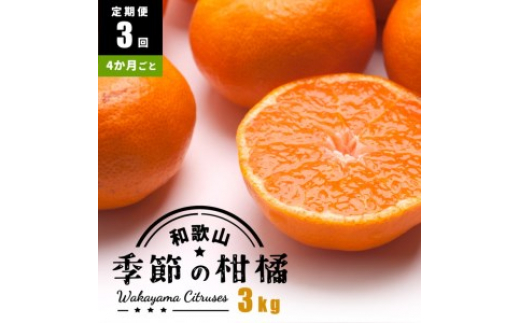 
【定期便/4か月ごと/全3回】厳選・和歌山の季節の柑橘3kg農家直送フルーツ定期便 | 有田 みかん 蜜柑 オレンジ 八朔 せとか ポンカン セミノール バレンシア いよかん 不知火※北海道・沖縄・離島への配送不可
