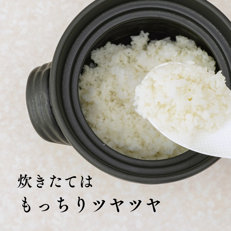 《令和8年度産 先行予約》【数量・期間限定】井野農園のミルキークイーン 米 ご飯 ごはん おにぎり 新米