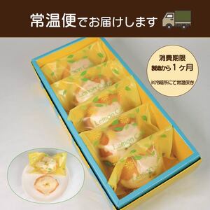 レモンケーキ 5個 焼き菓子 レモンケーキ レモンケーキ レモンケーキ