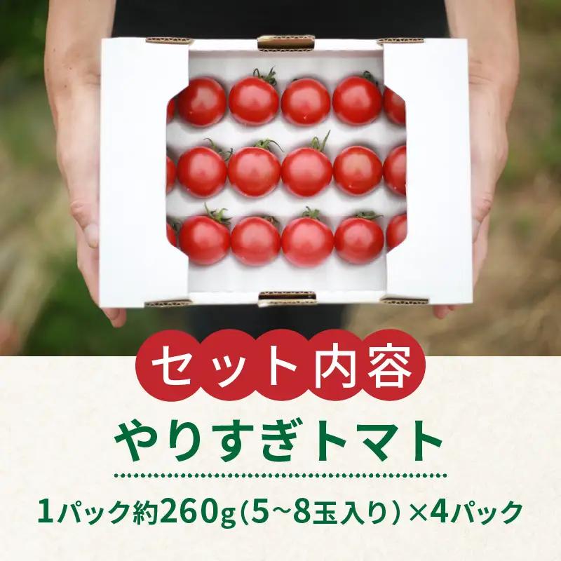【トマト】高糖度やりすぎトマト 1kg（2026年12月上旬～発送）