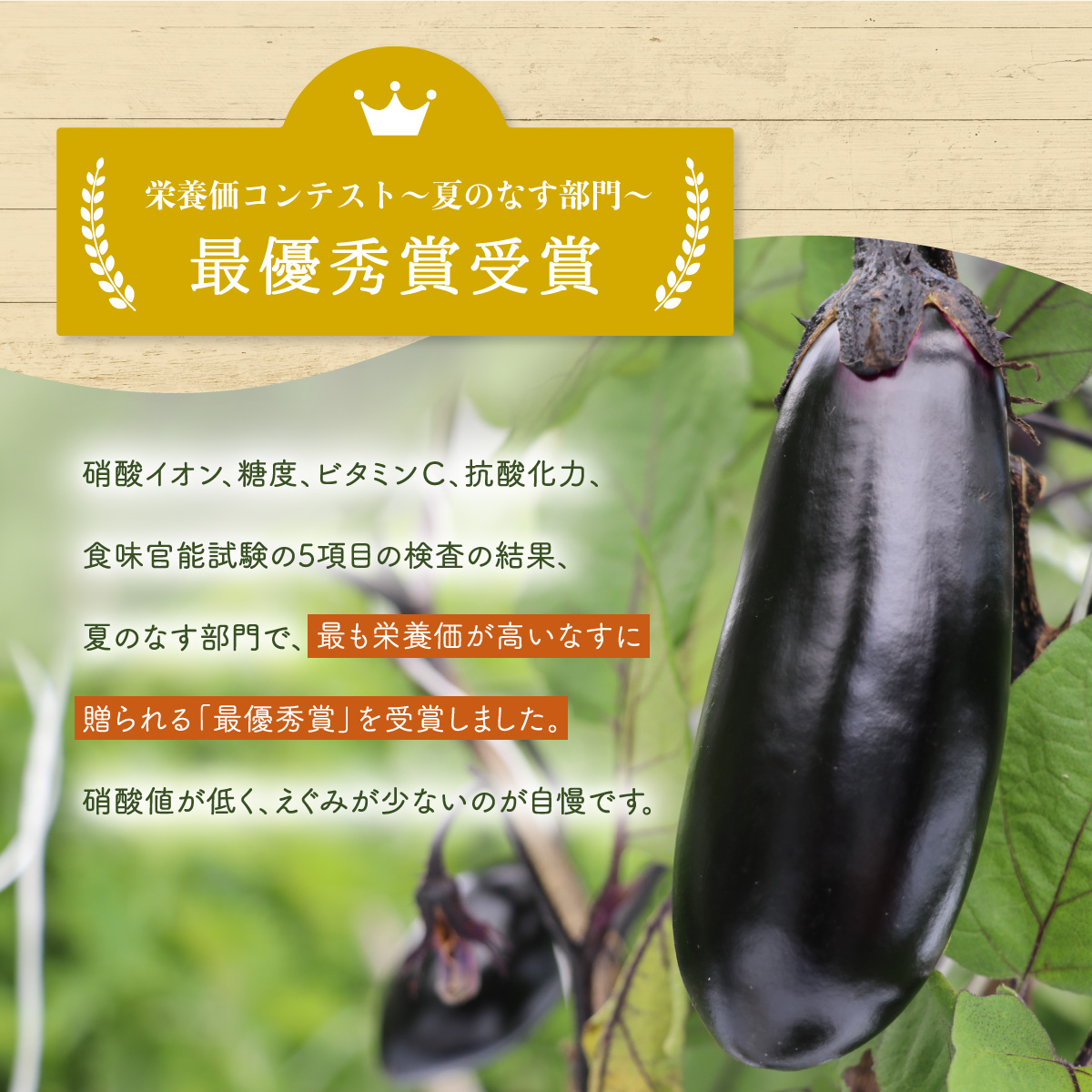 夏野菜 詰め合わせ 大セット なす おくら 野菜 茄子 ナス オクラ 産地直送 天敵栽培 【2025年7月以降順次発送】