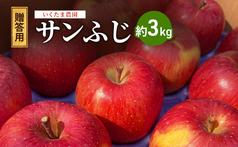 
                  【2026年11月～発送】贈答用 葉とらずサンふじ　約3kg リンゴ りんご フルーツ 果物 お取り寄せ 長野県 山ノ内町
                