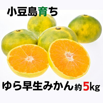 【ふるさと納税】【 小豆島 】小豆島　ゆら早生みかん　約5kg 果物類 柑橘類 柑橘 ミカン フルーツ くだもの 　お届け：2025年10月中旬～11月上旬