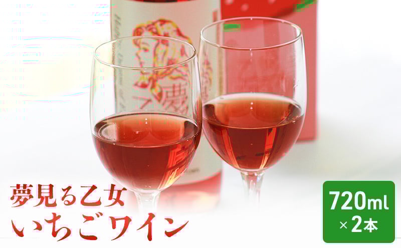 
            【亘理町いちご産】夢見る乙女2本セット いちごワイン
          