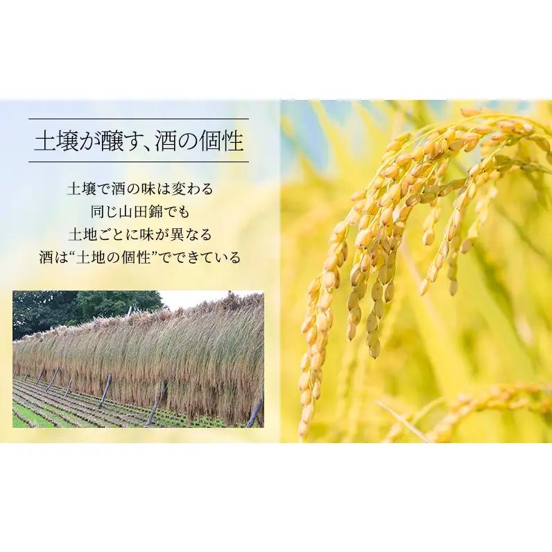 日本酒  大吟醸 龍力 米のささやき YK-35 720ml 日本酒