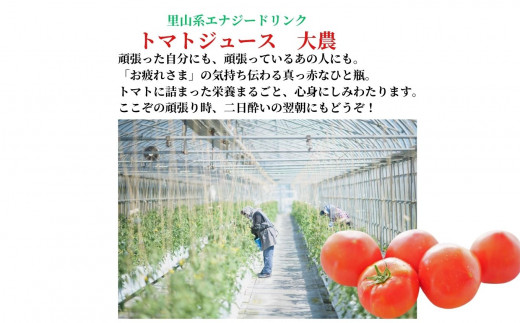 樹上完熟トマトジュース『大農』200ml×12本 桃太郎ファイト 樹熟金線トマト とまと