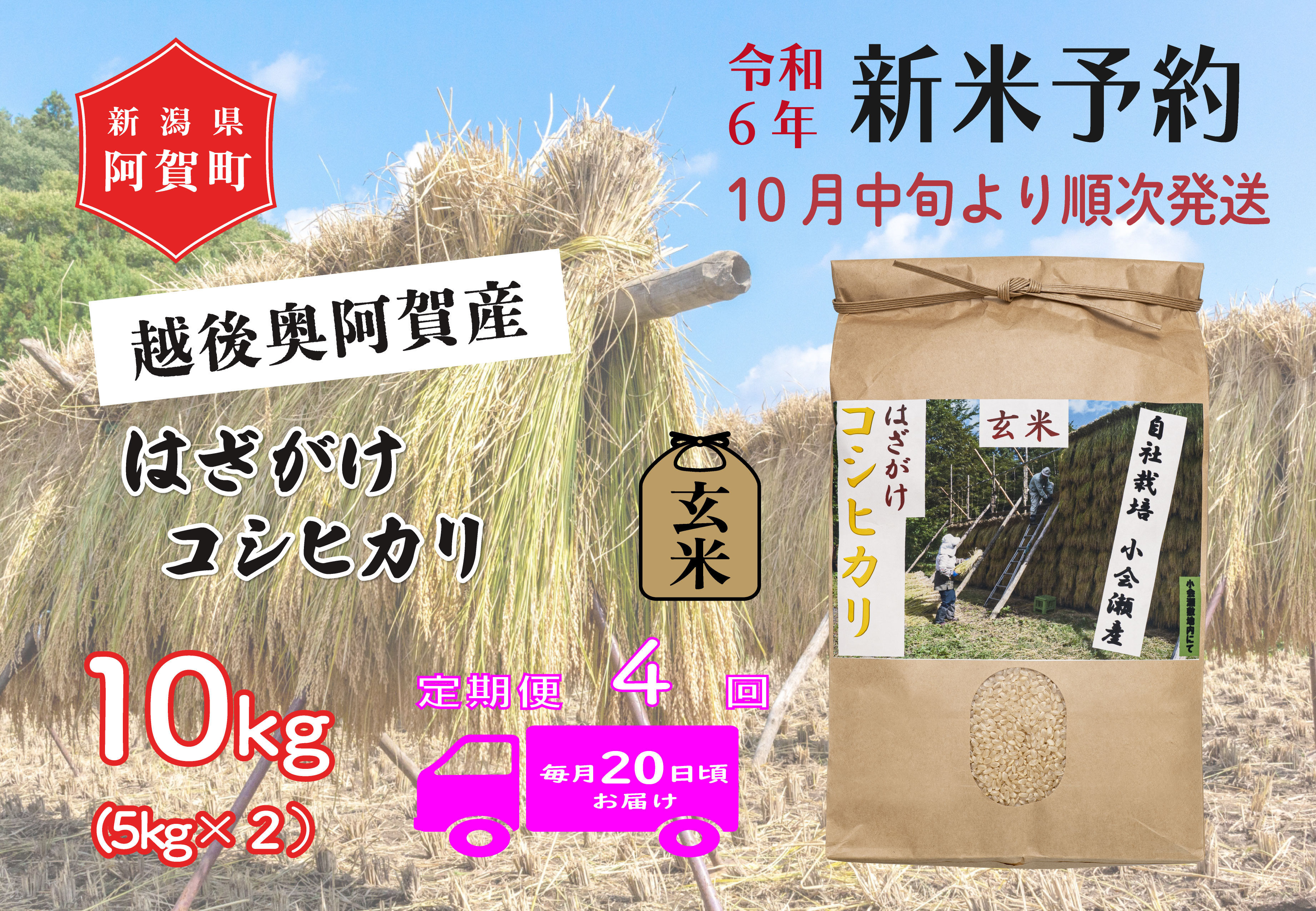 
《令和6年産米》【定期便】4回　越後奥阿賀産はざがけ（天日干し）コシヒカリ　玄米10kg（5kg×2袋）
