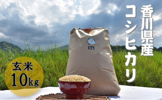 
[№4631-2372]令和5年産 ふじもとファームの新米【コシヒカリ（玄米）10kg】
