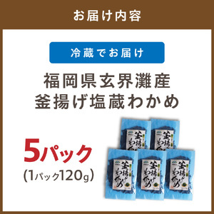 【翌営業日までに発送】福岡県玄界灘産　釜揚げ塩蔵わかめ（120g×5パック）【マサエイ】_HA0907