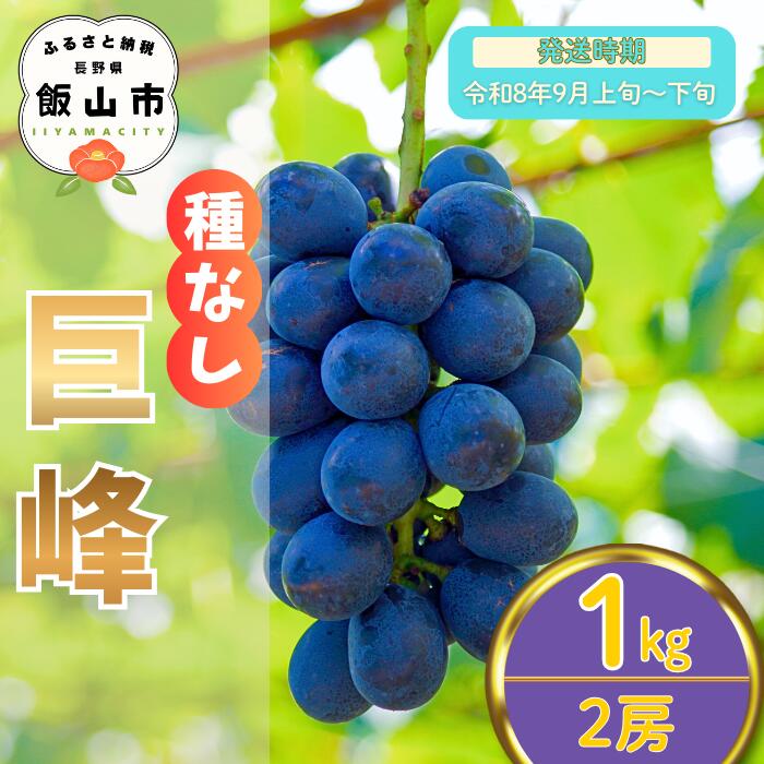 【ふるさと納税】2026年 先行予約 ＼ 種なし巨峰 ／ 2房 / 1kg 長野県産 ＜出荷開始：2026年9月上旬〜下旬頃＞ 【 巨峰 ぶどう 葡萄 種なし フルーツ 果物 くだもの 産地直送 オススメ ギフト 美味しい 甘い 黒ぶどう 黒い宝石 期間限定 旬 信州 長野県 飯山市 】 (7-A20)