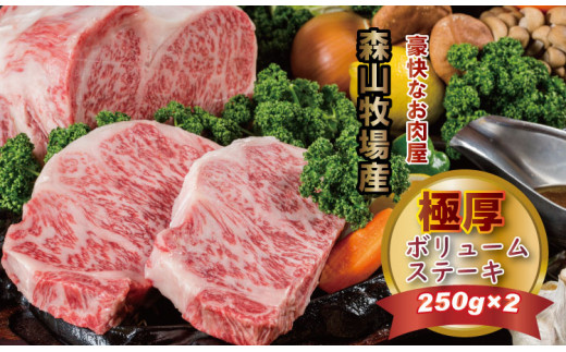 森山牧場産 黒毛和牛ステーキ （250g×2） 黒毛和牛