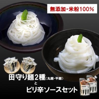 ふるさと納税 雲南市 グルテンフリー米粉麺　田守り麺2種・ピリ辛ソースセット|無添加・米粉100%で体に優しい