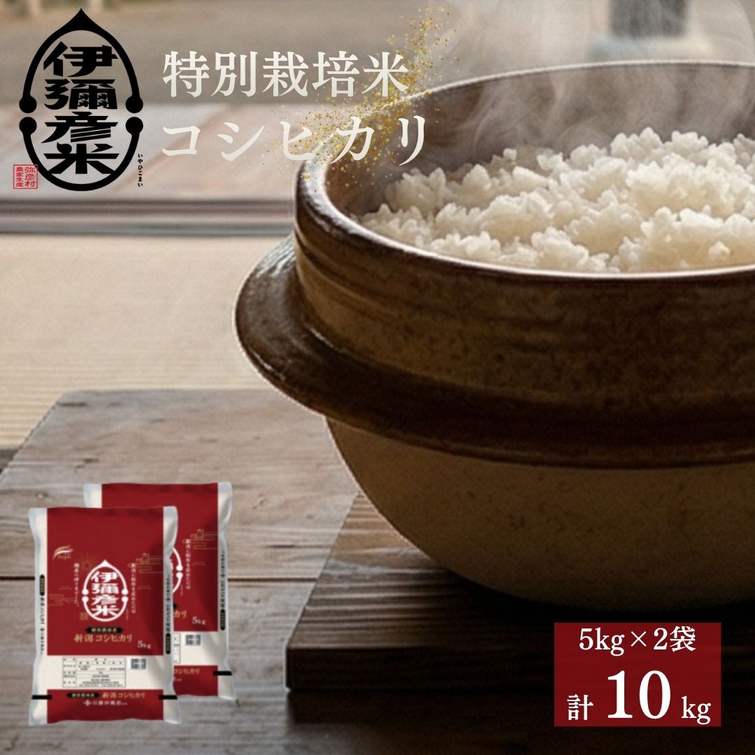 【ふるさと納税】米 10kg 新潟 コシヒカリ 令和7年産 伊彌彦米(5kg×2) 特別栽培米コシヒカリ | こしひかり 10キロ お米 こめ コメ 白米 精米 いやひこまい ブランド米 おすすめ お取り寄せ ギフト プレゼント 贈答 贈り物 送料無料 送料込み 新潟県 弥彦村 藤井商店