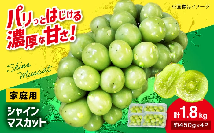 
            【先行予約】【9月下旬から順次発送】家庭用 シャインマスカット 計1.8kg（約450g×4パック） 粒入り マスカット ぶどう ブドウ 葡萄 シャインマスカット 三次市 / 辰巳農園 [APCR001]
          