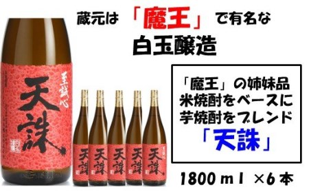 No.4021-1 【魔王の姉妹品】白玉醸造の「天誅」6本セット