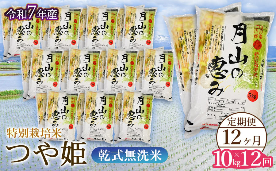 
            【令和7年産先行予約】 12ヶ月定期便 特別栽培米 つや姫 乾式無洗米 10kg×12回　毎月1回中旬発送　山形県鶴岡市産　米工房月山
          