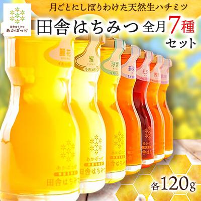 ふるさと納税 五霞町 『プレミアム全7種』月毎に楽しむ田舎はちみつ　全7ヶ月7本セット
