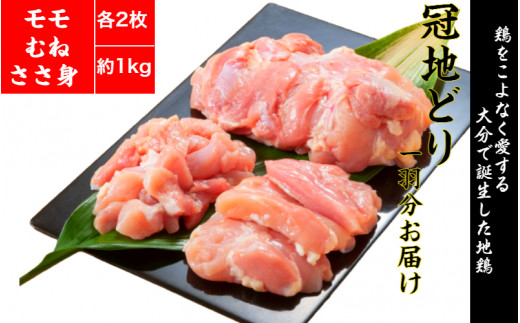 鶏好きの大分が生んだ地鶏！おおいた冠地どり1羽食べ尽くしセット（1796R）