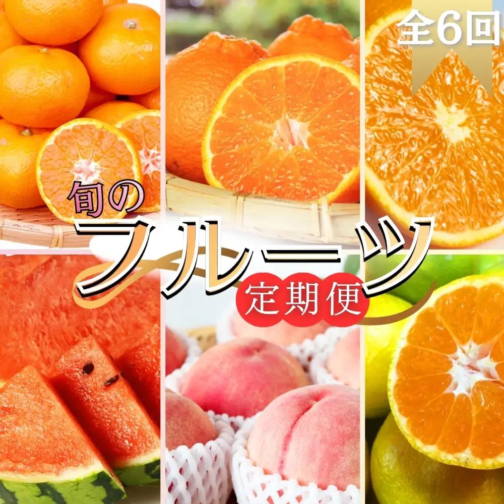 【全6回定期便】旬のフルーツ定期便 【田村みかん / 紀州デコ(不知火) / 清見オレンジ / 小玉スイカ / 桃 / ゆら早生みかん】 ～和歌山の旬をお届け～ / みかん ミカン 温州みかん 有田みかん 不知火 デコポン 桃 ももフルーツ 果物 定期便【tkb314】