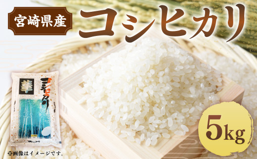 ＜令和5年産米宮崎県産コシヒカリ5kg＞2023年10月～2024年7月下旬迄に順次出荷【c1135_et】