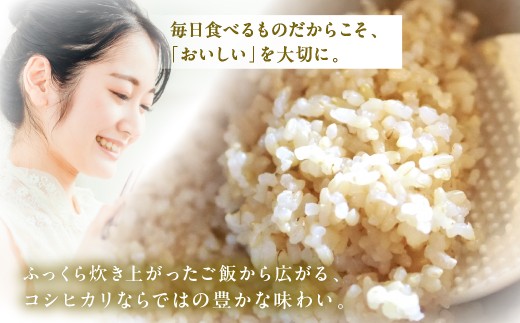 【定期便12回】令和8年産 郡上産こしひかり【 玄米】 5kg  こしひかり コシヒカリ 玄米 定期便 新米 コシヒカリ 5kg コシヒカリ 10kg 玄米 げんまい コシヒカリ こしひかり 新米 お