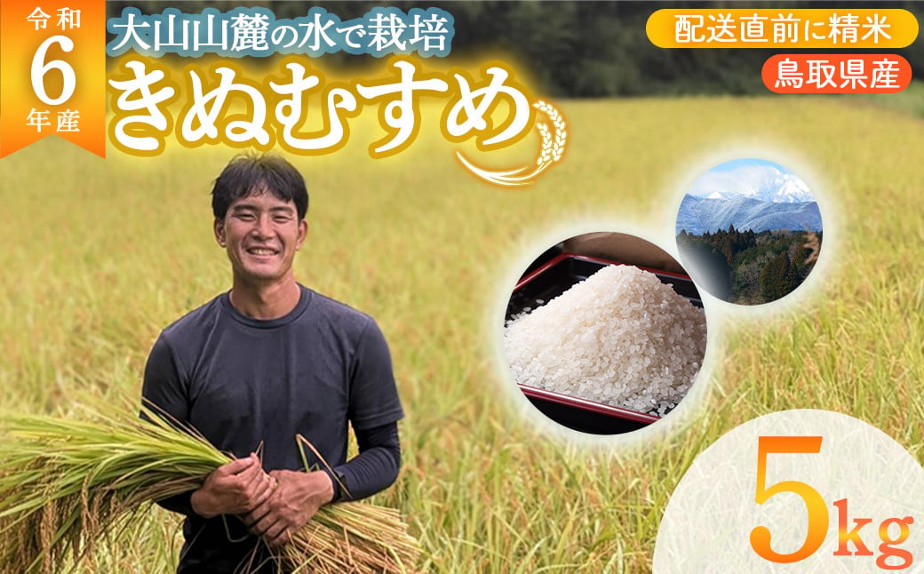 
            数量限定 令和6年産 きぬむすめ 5kg 令和6年産米 精米 お米 米 こめ コメ 白米 ごはん ご飯 ゴハン ブランド米 鳥取県 倉吉市
          