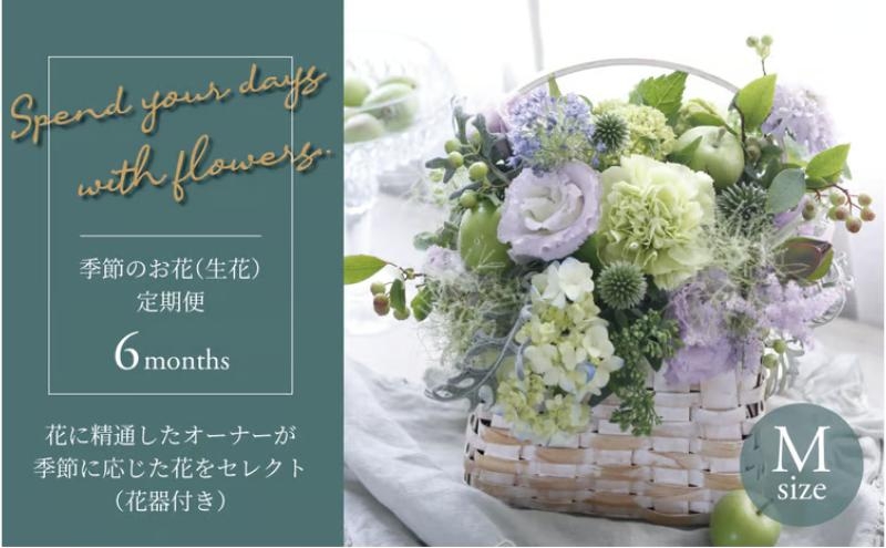 
                  【毎月お届け】季節のお花（生花・花器付き）の定期便・Mサイズ　6か月 〈 フラワーアレンジメント 花 定期便  記念日 誕生日 お祝い ギフト プレゼント インテリア 自宅用 全国発送 送料無料 冷蔵 そのまま飾れる かわいい  ※お届け日指定不可 〉
                