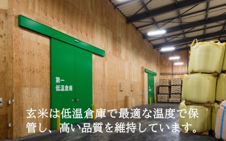 〈令和7年産〉ななつぼし 10kg 10kg（5kg×2袋） 北海道 和寒町 精米 米 お米 北海道米 おこめ 高品質