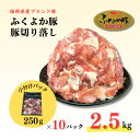 【ふるさと納税】ふくよか豚切り落し2.5kg(250g×10パック)【配送不可地域：離島】【1566229】